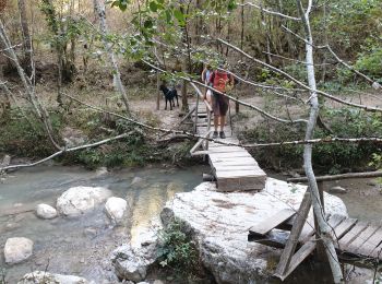 Trail Walking Estoublon - gorges de Trévans 6 septembre 2020 - Photo