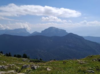 Tocht Stappen Proveysieux - rochers de Chalves d’après Geba - Photo