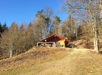 Tour Wandern Sickert - Sickert-Abri de Sickertbach (court)  - Photo