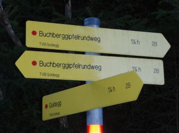 Randonnée A pied Goldegg - Buchberg-Gipfelrundweg - Photo