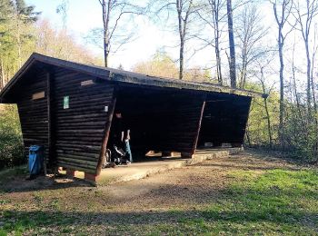 Tour Zu Fuß Weinheim - Rundwanderweg Gorxheimertal 1: Wachenberg-Weg - Photo