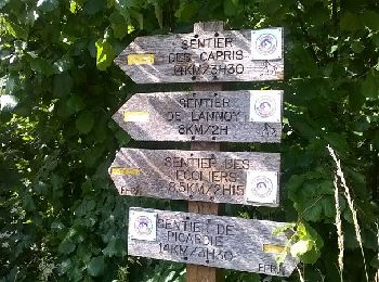 Trail Walking Auxi-le-Château - Sentier Les Capris - Photo