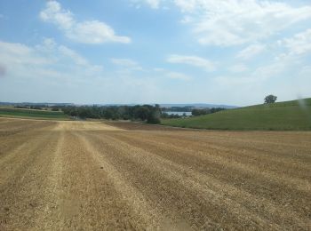 Trail On foot Seeburg - Seeanger-Rundweg Seeburg - Photo