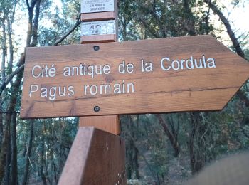 Randonnée Marche Vallauris - VALLAURIS . CITE ANTIQUE DE LA CORDULA O - Photo