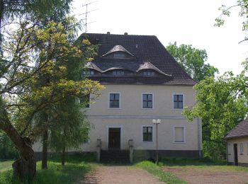 Excursión A pie Alt Zauche-Wußwerk - Wanderweg Kannomühle - Neu Zauche - Caminchen - Photo