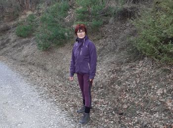 Trail Walking Piégros-la-Clastre - le collet puyjovent avec la berne - Photo