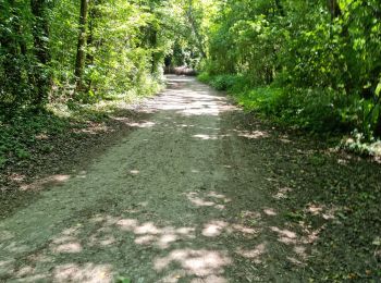 Tocht Stappen Boutigny-sur-Essonne - Boutigny-sur-Essonne  - Photo