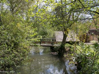 Excursión Marcha nórdica Bretoncelles - Traversées Percheronnes Bretoncelles - La Loupe km V2 PROJET - Photo