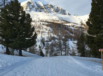 Tour Schneeschuhwandern Vars - Fontbonne Peynier  - Photo