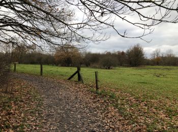 Tocht Stappen Huldenberg - Dyle - Photo