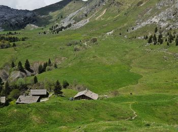 Excursión Senderismo Le Grand-Bornand - Aiguille verte, Col et lac de Lessy - Photo