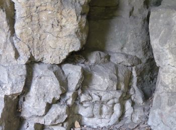 Percorso A piedi Chaudeney-sur-Moselle - Circuit du Bois Gaillard - Photo