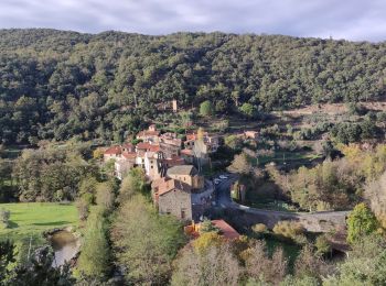 Excursión Senderismo Prunet-et-Belpuig - BOULETERNAIRE TRINITE - Photo