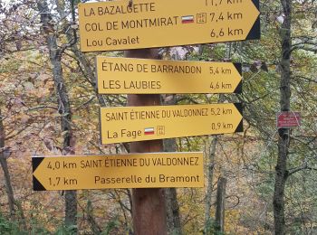 Trail Walking Saint-Étienne-du-Valdonnez - gorges du Bramont - Photo