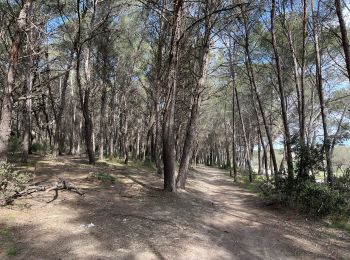 Randonnée Marche Istres - Martigues entre les étangs de Citis et Lavalduc - Photo
