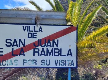 Excursión Senderismo Los Realejos - San Juan de la Rambla - Photo