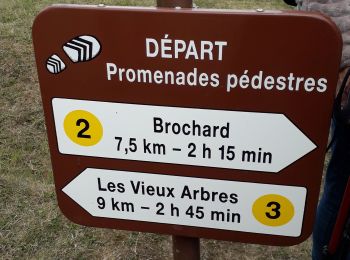 Trail Walking Feings - Perche-Le  Valdieu - Forêt  de Réno-Valdieu - - Photo