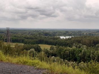 Trail Walking Péruwelz - Forêt de Bon-Secours et pays minier de l’Escaut - Photo