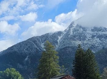 Trail Walking Chamonix-Mont-Blanc - J13 - R11 - Chalet La Floria depuis Les Praz de Chamonix - Photo