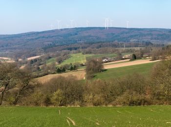 Randonnée A pied Bad Soden-Salmünster - Bad Orb Rundwanderweg 2 Grenzsteinweg - Photo