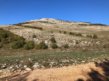 Percorso Marcia Mons - Le Lachens depuis Mons - Photo