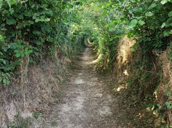 Tour Wandern Marigny-Le-Lozon - Marigny - Photo