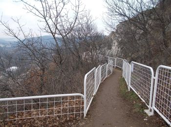 Randonnée A pied Inconnu - Z▲ (Nagybányai lépcső - Ferenc-hegy - Kavics utca, vill. mh.) - Photo