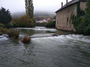 Tocht Stappen Arbois - Arbois 22 oct 2019 CAF - Photo