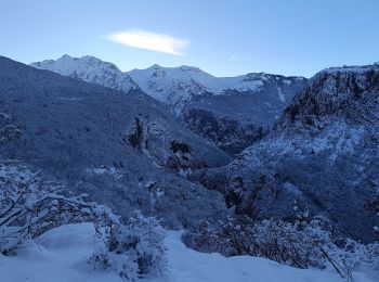 Tocht Stappen Les Deux Alpes - Le Garcin- Deux Alpes - Photo