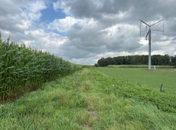 Excursión Senderismo Tournai - Mont St Aubert 13,8 km - Photo