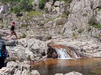 Excursión Senderismo Conca - Corse - GR20 Paliri à Conca - Photo