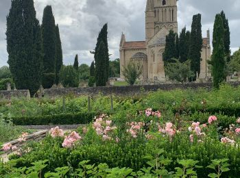 Randonnée Marche Melle - VOIE DE TOURS Melle - Aulnay les Saintonges  - Photo