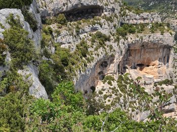Randonnée Marche Monieux - saint Hubert et le rocher de Cire - Photo
