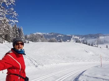 Trail Cross-country skiing La Rippe - germine - Photo