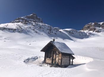 Trail Snowshoes Saint-Dalmas-le-Selvage - Refuge de Gialorgues - Photo