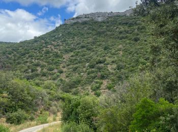 Percorso Marcia Minerve - Minerve - Photo