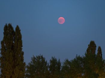 Tocht Te voet Monheim am Rhein - (M) Rund um Monheim - Photo