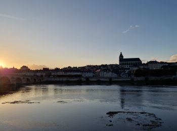 Tocht Hybride fiets Blois - Blois Chambord et retour - Photo