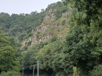 Randonnée Marche Souleuvre-en-Bocage -  Campeaux - Photo