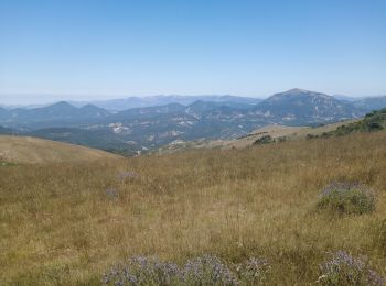 Tour Wandern Venterol - le cougoir  - Photo