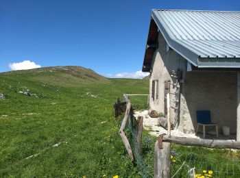 Randonnée A pied Magasa - Malga Casina, Bocca di Cablone, Malga Tombea - Photo