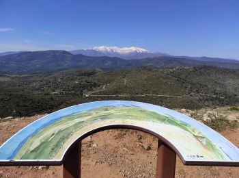 Percorso Marcia Sainte-Colombe-de-la-Commanderie - Roc Majorque (444m) Castelnou au départ de Ste Colombe de la Commanderie - Photo