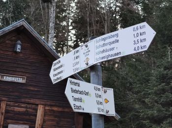 Tocht Te voet Biederbach - Bei der Kholhütte - Hintertal Rotzelweg - Photo