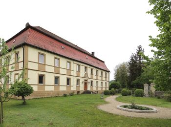 Randonnée A pied Lichtenfels - Nothelferweg - Photo