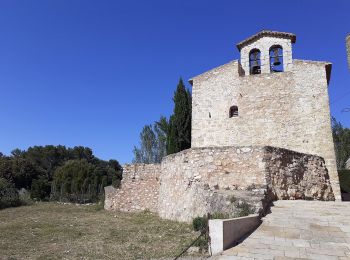 Trail On foot Tivissa - La predicció del Temps, la Miranda - Photo