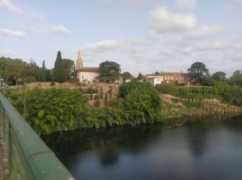 Randonnée Vélo de route Coufouleux - coufouleux l'Isle sur tarn - Photo