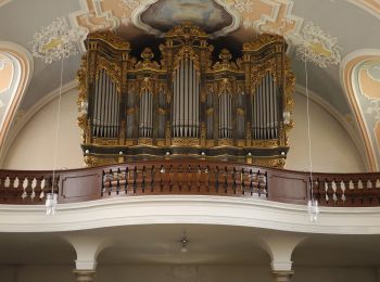 Randonnée A pied Stadtsteinach - Bergfeld-Weg KU 32 - Photo