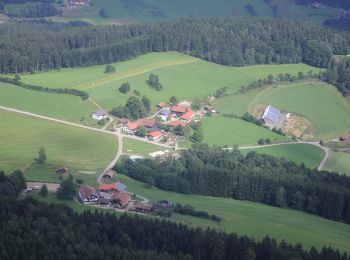 Tour Zu Fuß Drachselsried - Zielwanderweg 2 Arnbruck - Wiesing - Photo