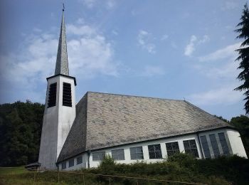 Tour Zu Fuß Wald-Michelbach - Rundwanderweg Affolterbach 6: Hilsberg-Weg - Photo