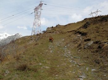 Trail Walking Saint-Jean-de-Maurienne - longefan / l'echaillon / longefan - Photo